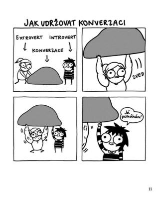 Ukázka