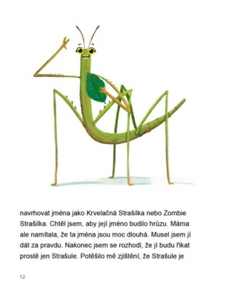 Ukázka