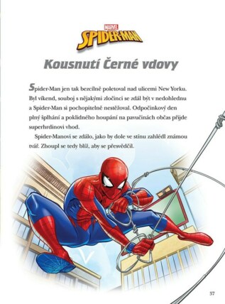 Ukázka