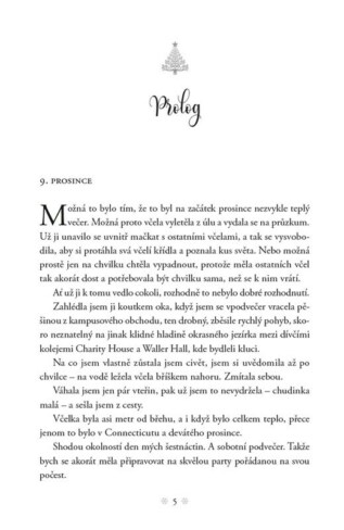 Ukázka