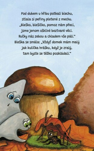 Ukázka