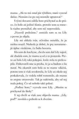 Ukázka
