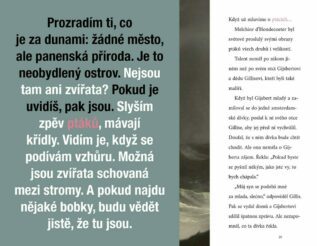 Ukázka