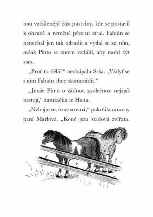 Ukázka