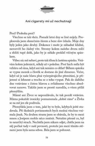 Ukázka