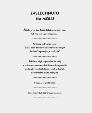 Ukázka