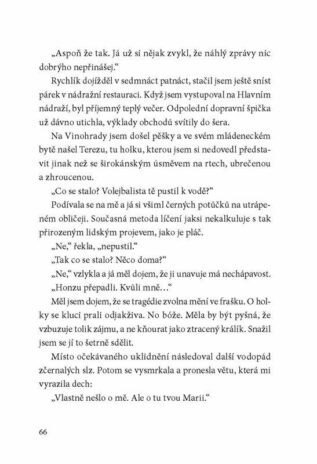 Ukázka