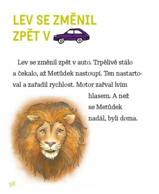 Ukázka