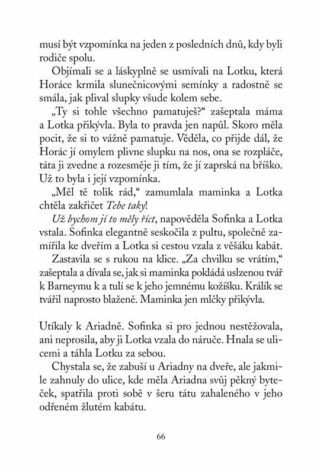 Ukázka