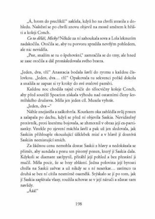 Ukázka