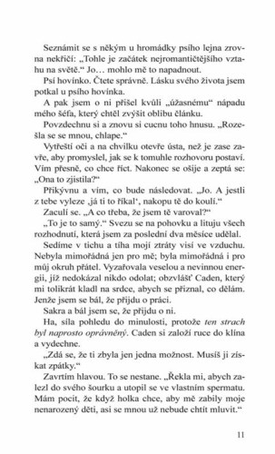 Ukázka