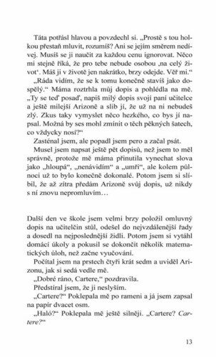 Ukázka