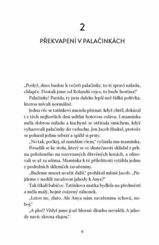 Ukázka