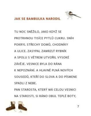 Ukázka