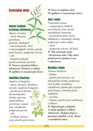 Ukázka