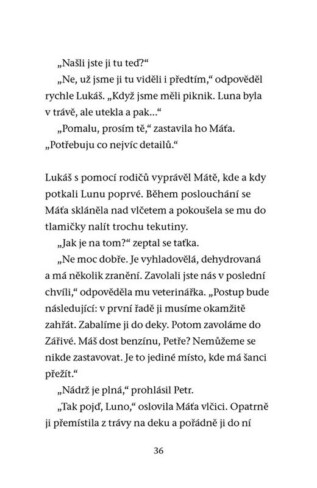 Ukázka