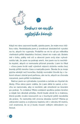 Ukázka