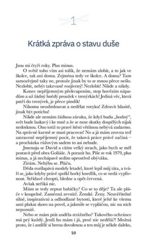 Ukázka