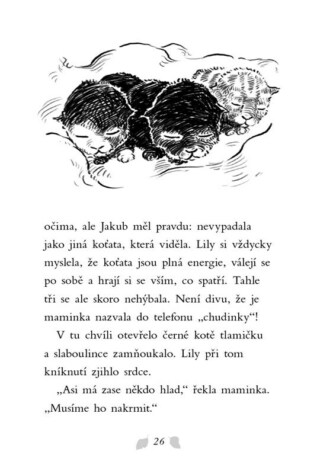 Ukázka