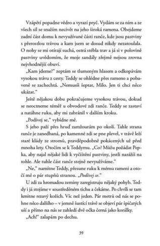 Ukázka