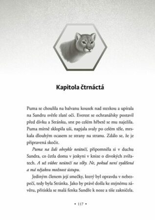 Ukázka
