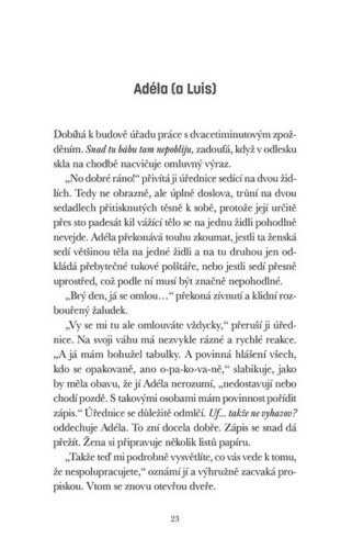 Ukázka