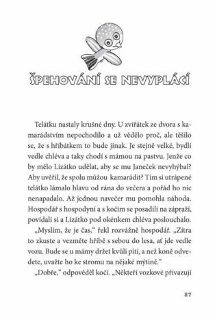 Ukázka
