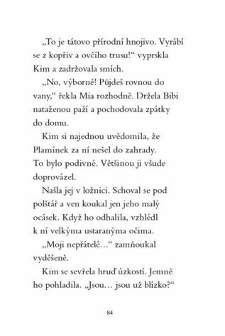 Ukázka