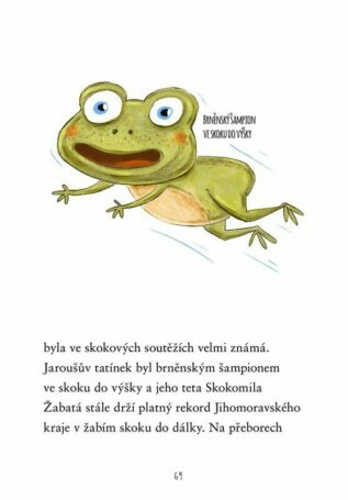 Ukázka