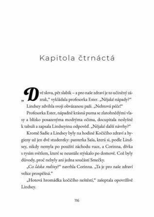 Ukázka