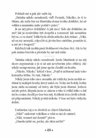 Ukázka