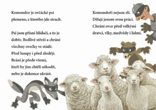 Ukázka