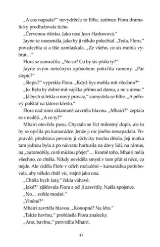 Ukázka