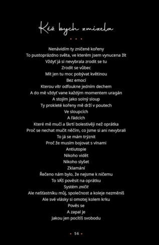 Ukázka