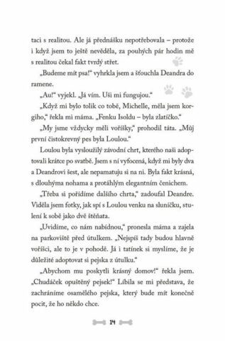 Ukázka