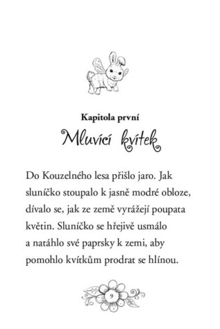 Ukázka