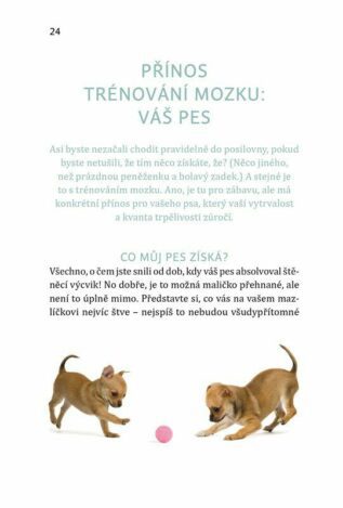 Ukázka