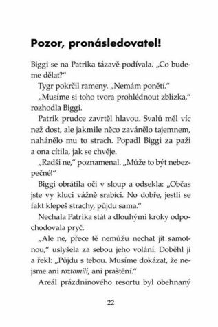 Ukázka