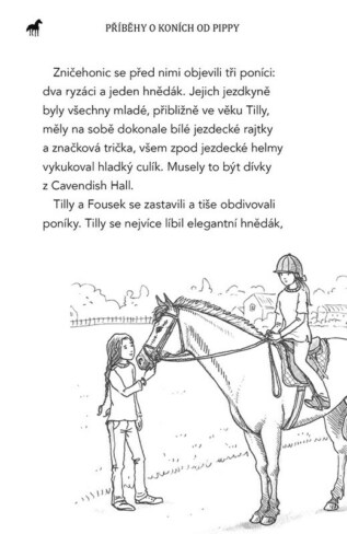 Ukázka
