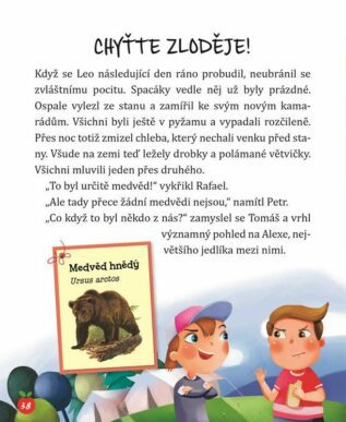 Ukázka