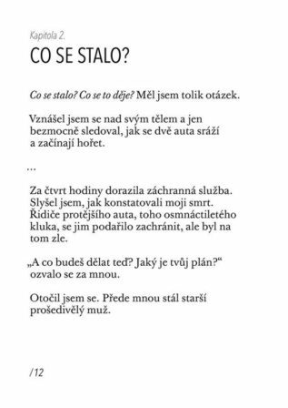 Ukázka