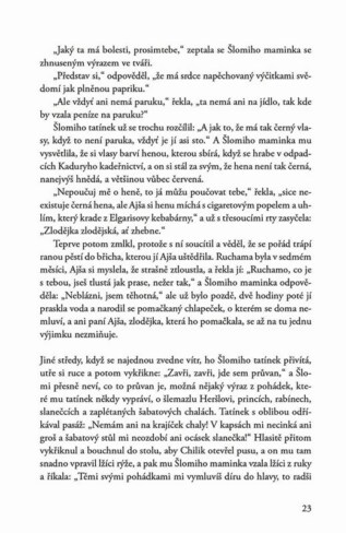 Ukázka
