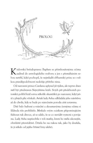 Ukázka