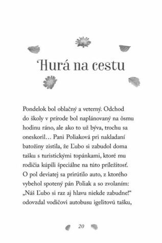 Ukázka