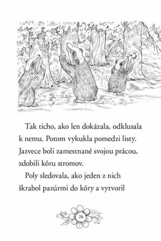 Ukázka