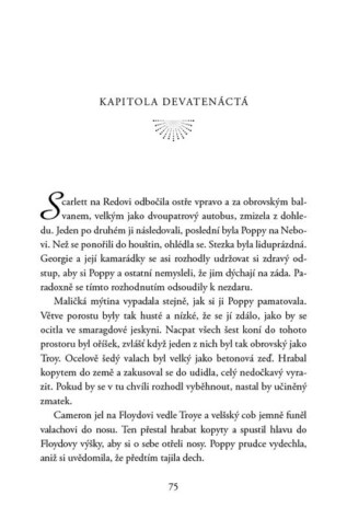 Ukázka