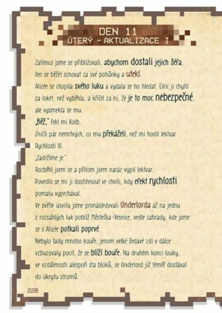 Ukázka