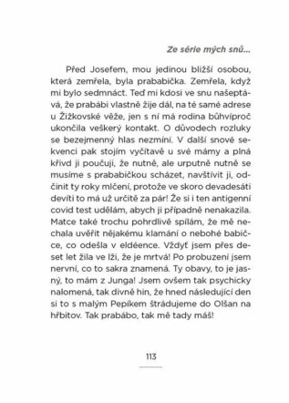 Ukázka