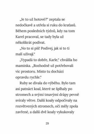 Ukázka