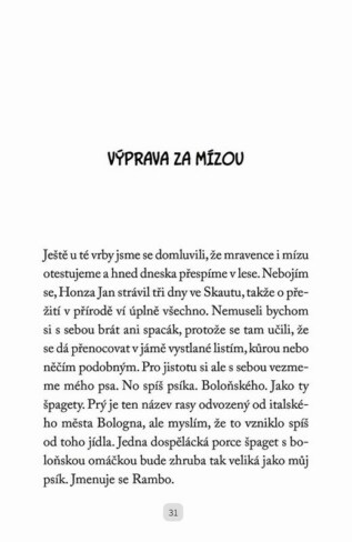 Ukázka